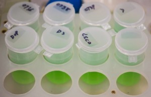 Wastewater troubleshooting